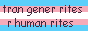 a trans flag that reads 'transgender rights are human rights' but misspelled.